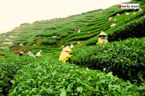 Shillong, Cherrapunji, Dawki, Tawang, Bomdila, Mawlynnong, Kaziranga,Dirang, Guwahati